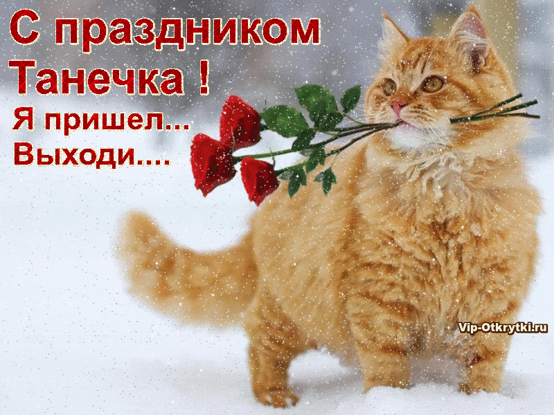 Юморные Поздравления С Днем Татьяны