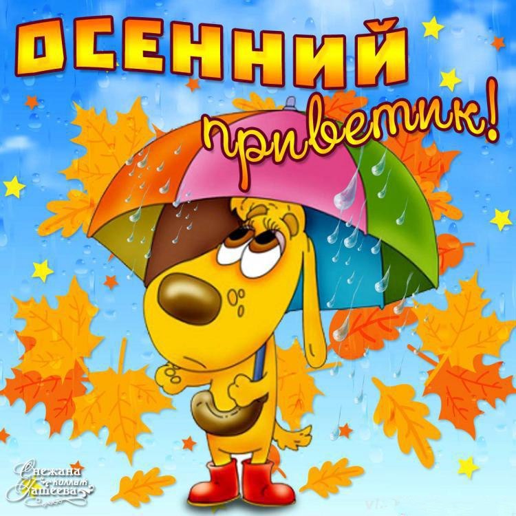 Здравствуйте Картинки Красивые С Пожеланиями Здравствуйте Картинки Красивые С Пожеланиями