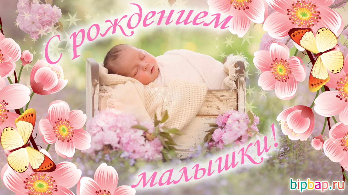Поздравление С Новорожденной Дочкой Картинки Маме