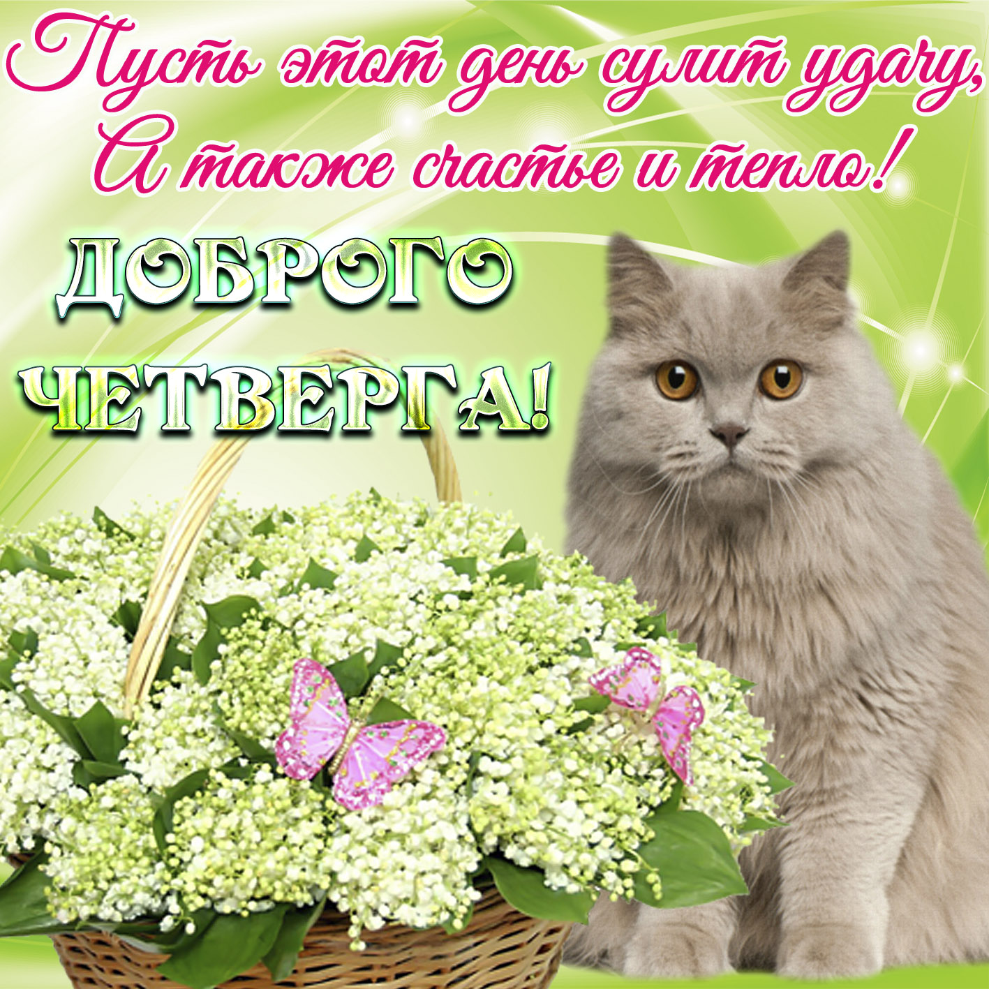 http://ekootkr.ot7.ru/admin/uploads/3/0/3/%D0%9A%D0%B0%D1%80%D1%82%D0%B8%D0%BD%D0%BA%D0%B8-%D1%81-%D0%BF%D1%80%D0%B0%D0%B7%D0%B4%D0%BD%D0%B8%D0%BA%D0%BE%D0%BC-%D0%BA%D0%B0%D1%80%D1%82%D0%B8%D0%BD%D0%BA%D0%B8-%D1%87%D0%B5%D1%82%D0%B2%D0%B5%D1%80%D0%B3-%D0%BF%D1%80%D0%B8%D0%BA%D0%BE%D0%BB%D1%8C%D0%BD%D1%8B%D0%B5-%D0%9A%D0%B0%D1%80%D1%82%D0%B8%D0%BD%D0%BA%D0%B8-%D0%BF%D1%80%D0%BE-%D1%87%D0%B5%D1%82%D0%B2%D0%B5%D1%80%D0%B3-%D1%81%D0%BC%D0%B5%D1%88%D0%BD%D1%8B%D0%B5-3852.jpg