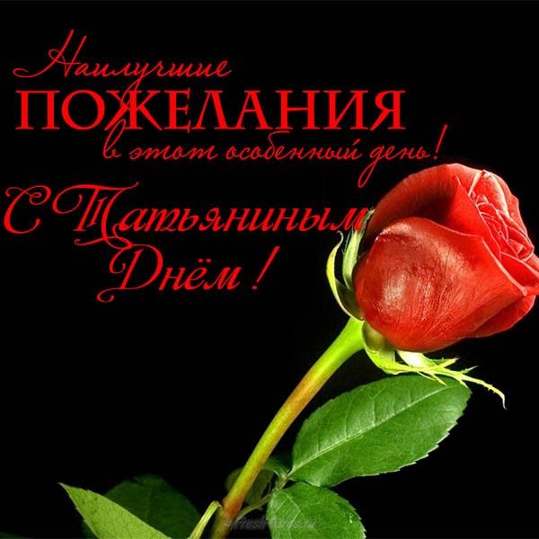 Открытка с Днём Татьяны! В разгар зимы, Татьянин день, тебя я поздравляю.