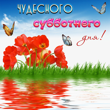 Открытки со стихами и красными маками. Открытка пожелать вам хочется счастья,...