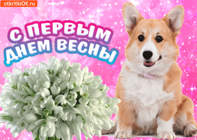 прикольное поздравление С первым днем весны. Открытки С первым днем весны при...