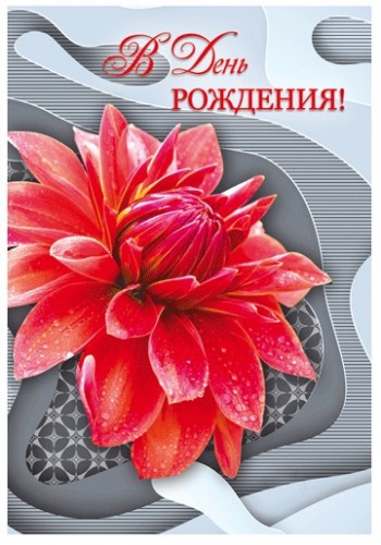 Открытка для тебя георгинами на чёрном фоне. Открытка с красным георгином.