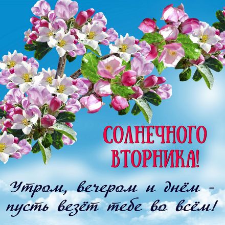 Доброе утро картинки вторник гиф. Картинки с надписью вторник.