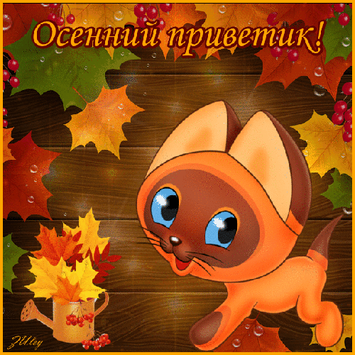 Картинка осенний Привет. Картинка осенний Приветик. открытка с приветствиями.