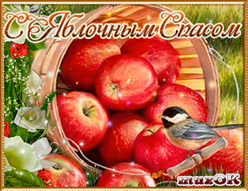 Пусть в жизни всё будет прекрасно у вас! Как открытка Пусть радость подарит в...