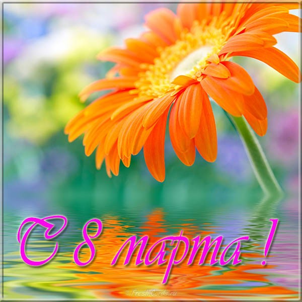 Открытка с букетом герберов и надписью на ленточке с Днём Рождением.