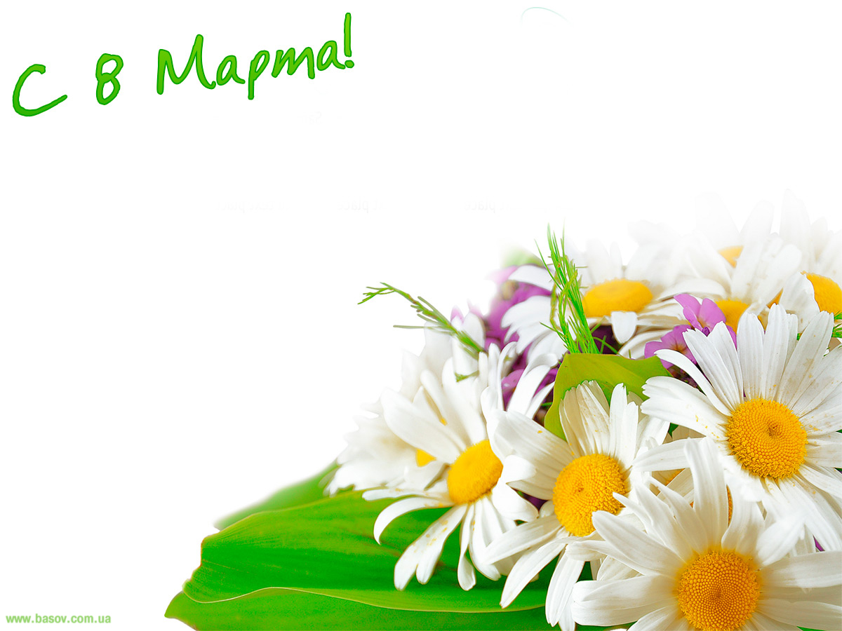 Картинки с ромашками Доброе утро. Картинка с ромашками на день рождения.