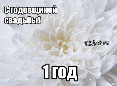 Прикольные поздравления с ситцевой свадьбой. Поздравления с годовщиной свадьб...
