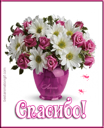 Картинки со словом Спасибо. Картинки Спасибо за внимание смешные.