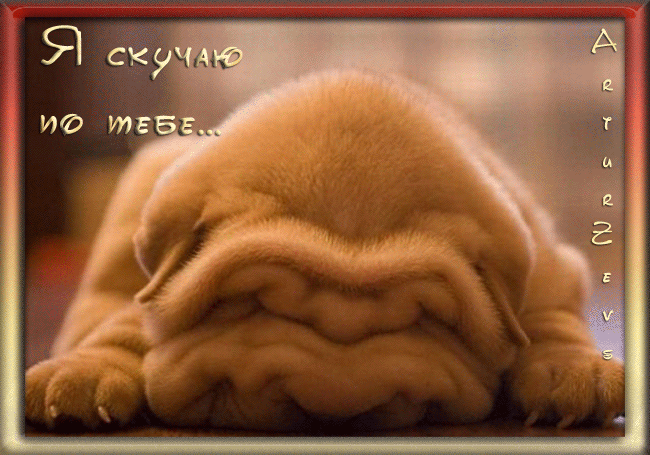 Картинки думаю о тебе. Картинки жду тебя. Картинки я скучаю по тебе скачать.