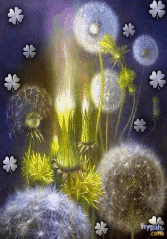 Открытка бабочка над желтым одуванчиком. Открытка яркого тебе дня с жёлтыми и...