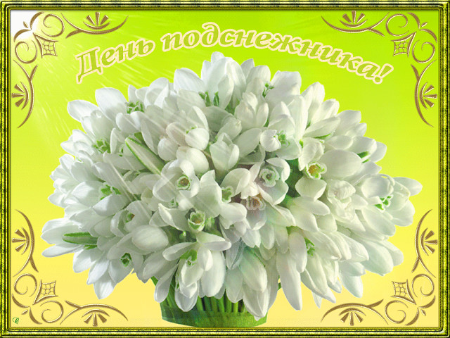 Открытки с Днем рождения подснежники. Показать открытки с Днем подснежника.