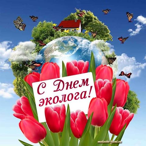 Есть такая профессия защищать природу открытка с зеленой веткой. Открытка с б...