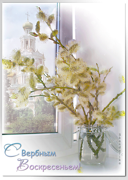 Открытки Вербное воскресенье скачать бесплатно без регистрации.