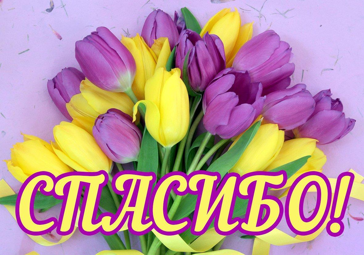 Открытка Спасибо взаимно. Открытки со словом Спасибо. Открытки с благодарност...