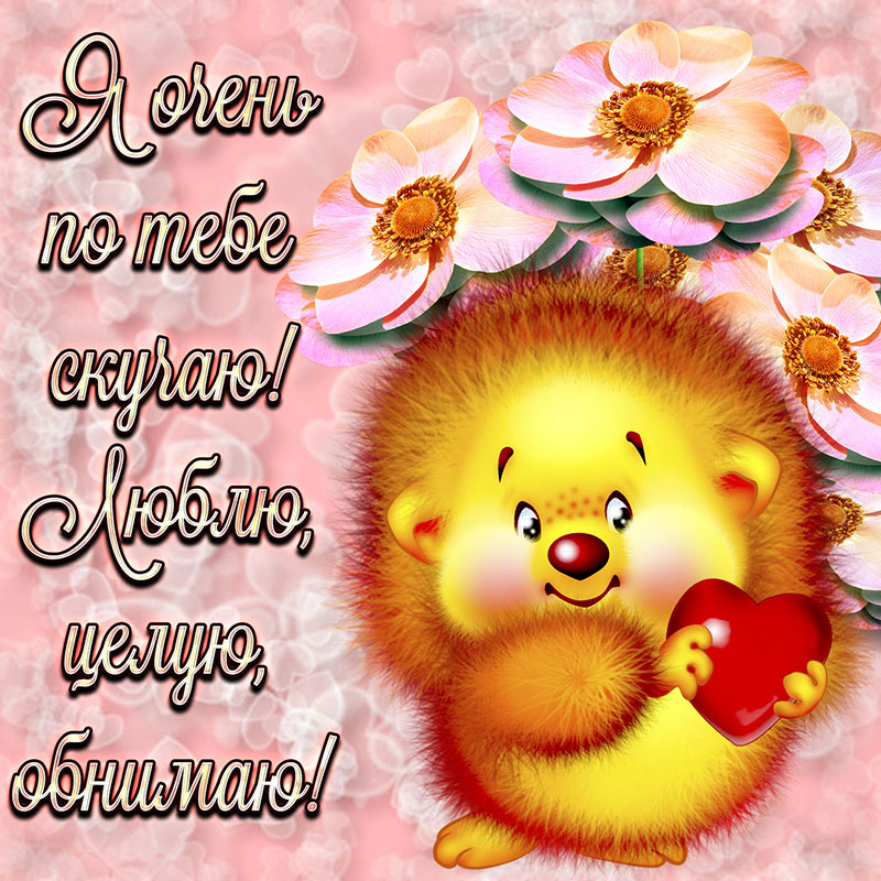 Картинки скучаю обнимаю. картинки обнимаю нежно. Картинки гифки Люблю целую о...