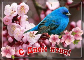 Красивая открытка с природой и птицами. Открытка 1 апреля птичий праздник.