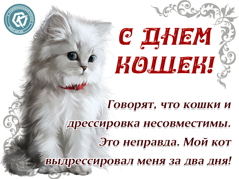 День котов стихи. Поздравление с днем кошек. День кошек открытки. Всемирный день кошек открытки. Всемирный день кошек поздравления.