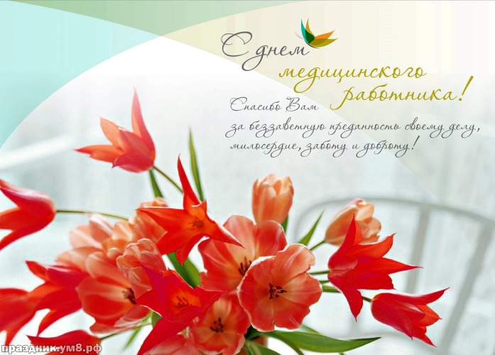 Открытка с днём медицинского работника с красными тюльпанами.