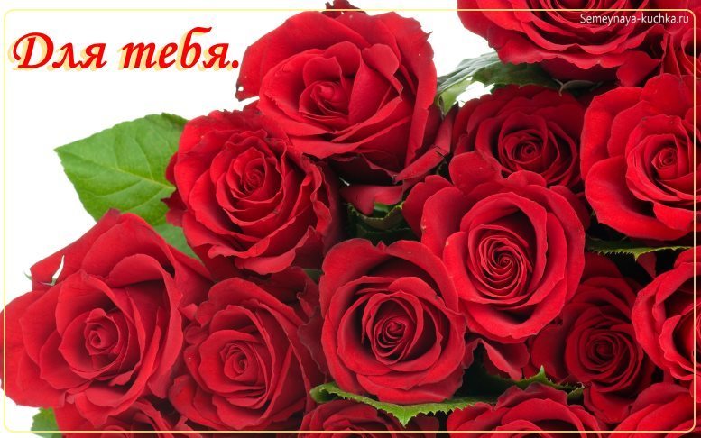 Открытка Катюша поздравляю с днём рождения, с красными розами. Открытка с юби...