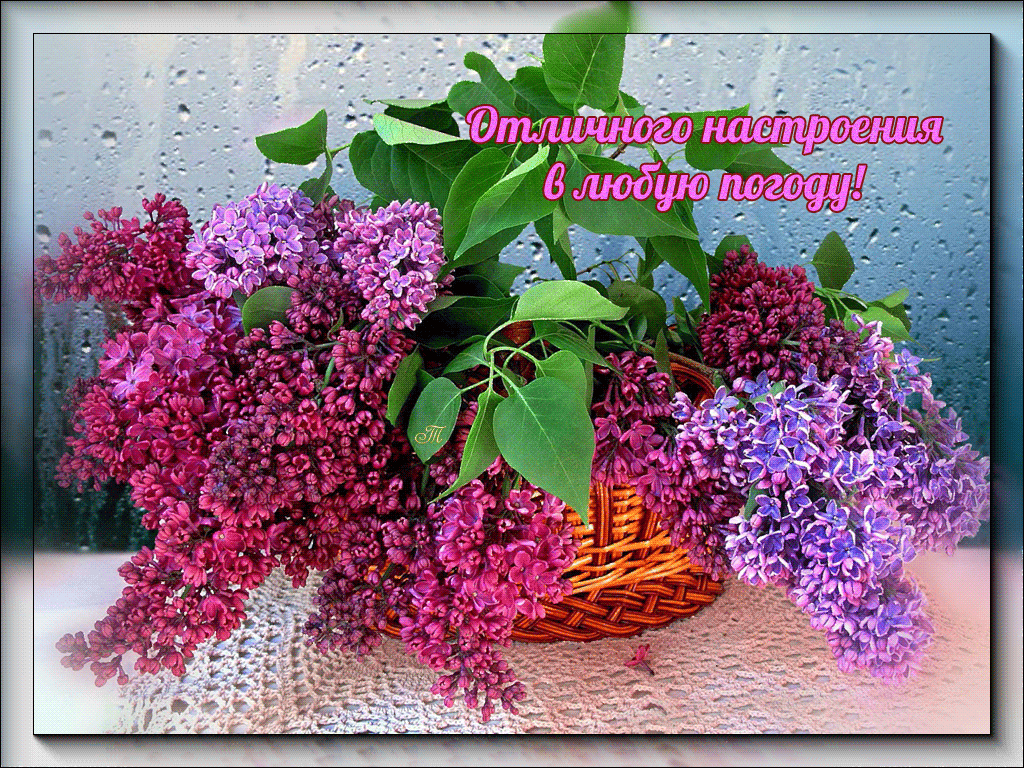 Открытка С Днём рождения С сиренью. Открытка на 1 Мая с сиренью.