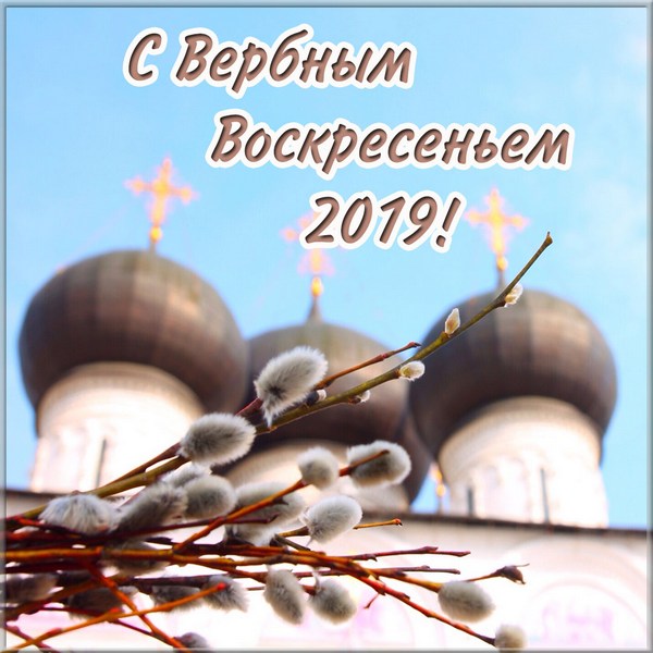 Открытка с пожеланиями мира добра и счастья я к наступающему вербному воскрес...