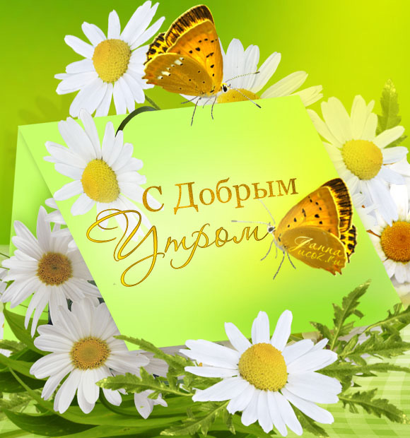 Букет ромашек в руках фото. Большие ромашки фото. Потом много ромашек фото вы...