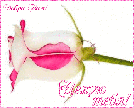 Открытки с поцелуями скачать бесплатно. Поздравительная открытка с поцелуями.