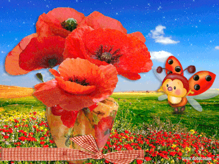 Открытка Поздравляю с нарисованными красными маками.  Векторная картинка крас...