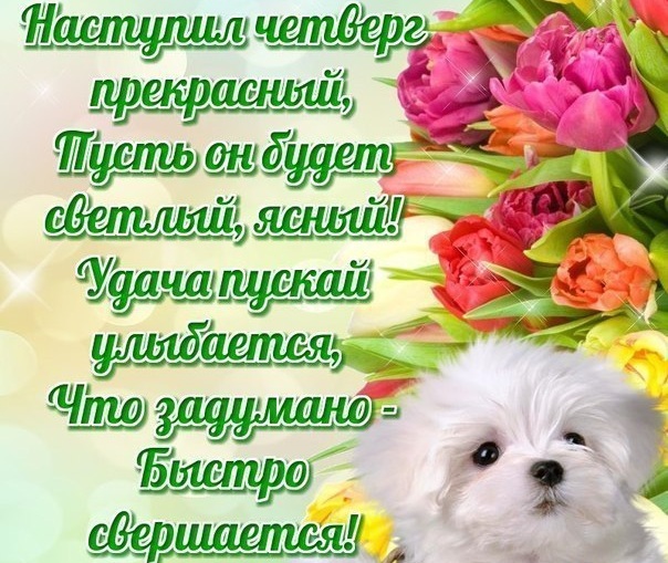 Открытки четверг 2019. Открытки с четверг прикольные. Открытки Добрый день че...