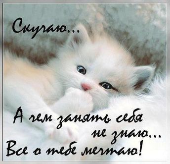 Картинки я скучаю. Картинки я скучаю по тебе. Картинки я скучаю по тебе родной.