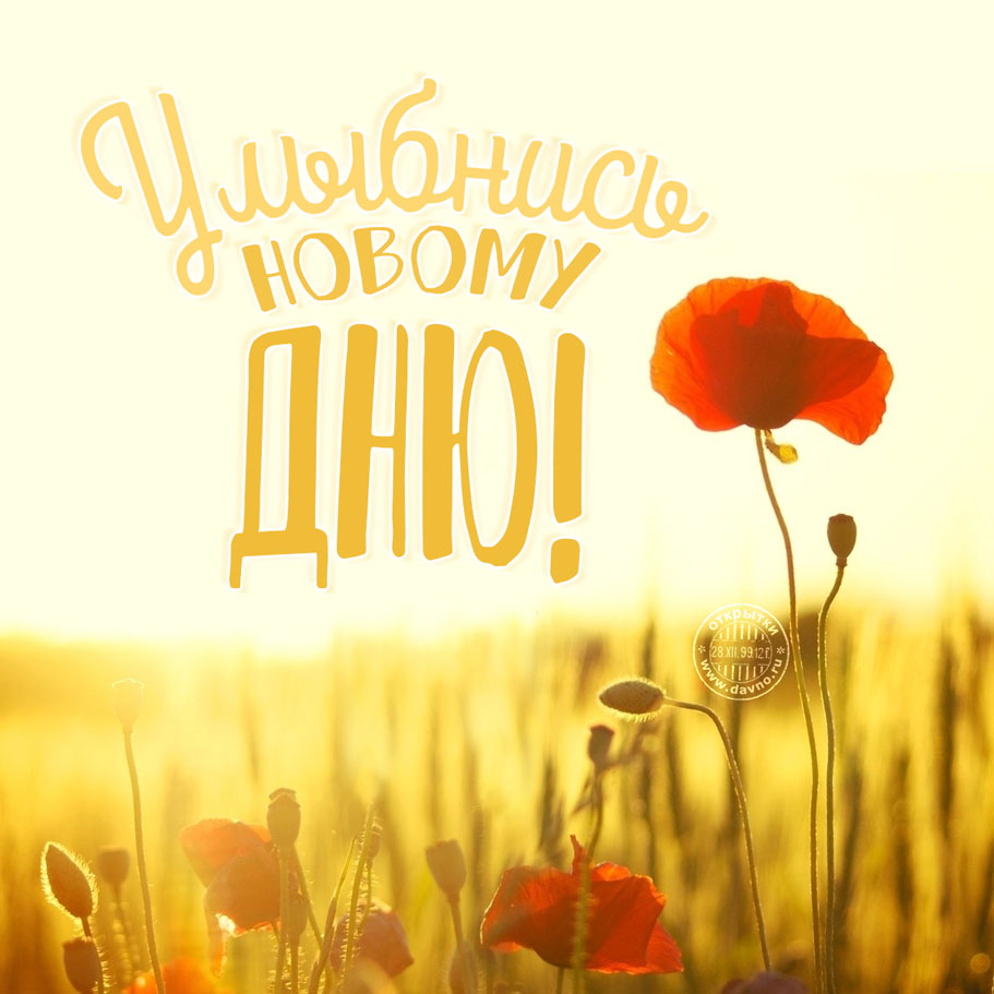 Открытки Привет улыбнись. Открытки прикольные Улыбнись. Открытки Улыбнись ани...