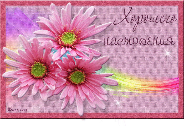 Открытка бабочка сидит на букете малиновых астр. Открытка А это тебе Береги с...