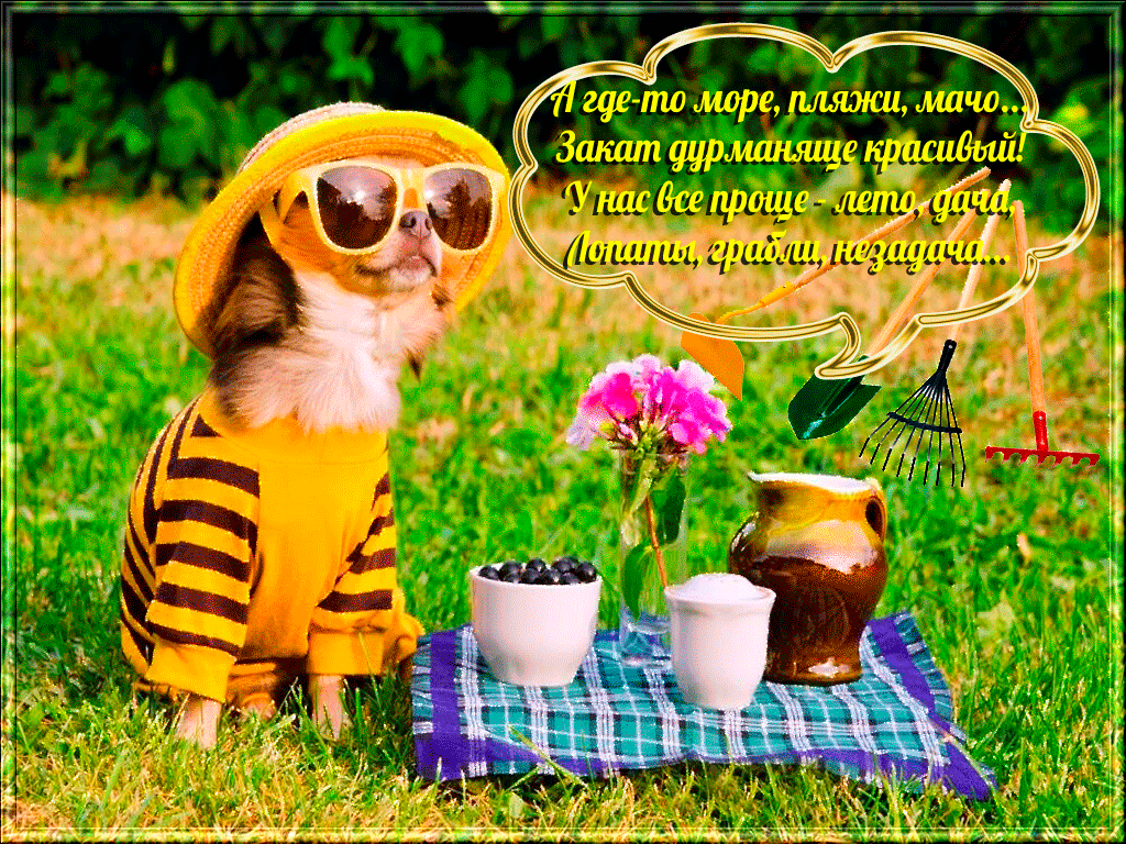 Детские стихи про лето с картинками. Картинки про лето. Картинки приколы про ...