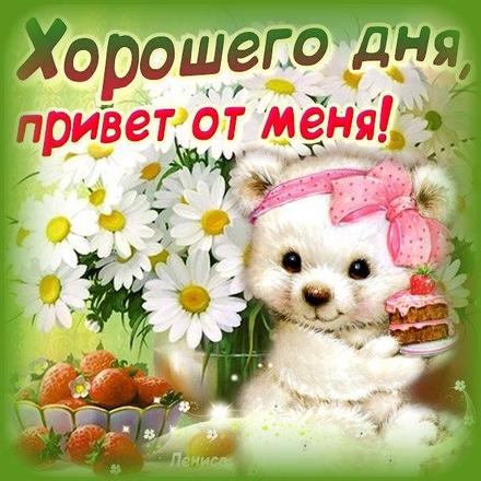 Картинки с ромашками. Картинки Спокойной ночи с ромашками.  