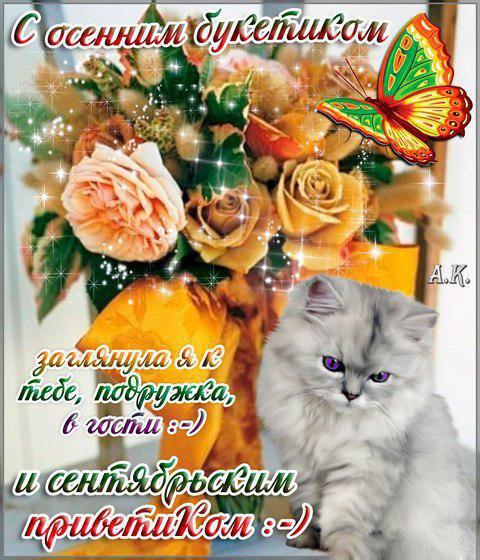 Картинка осенний Привет. Картинка осенний Приветик. открытка с приветствиями.