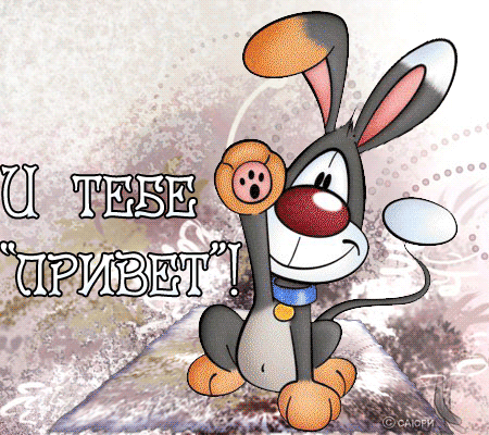 Картинка гиф Привет. Картинка приветствия. Картинка Привет картинки Всем привет.