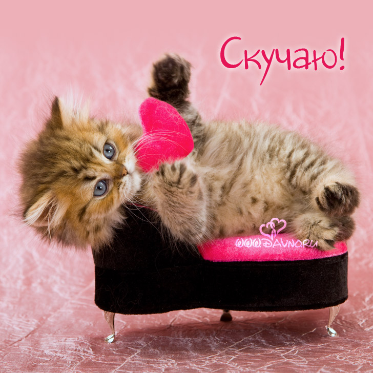 Картинка Я скучаю по тебе любимый. Картинка Я скучаю без тебя.