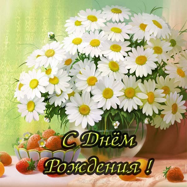 Картинки с ромашками скачать бесплатно. Картинки с ромашками и васильками.