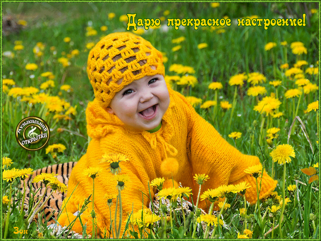 Открытка с анимацией желтые белые одуванчики у реки. Открытка с анимацией кот...