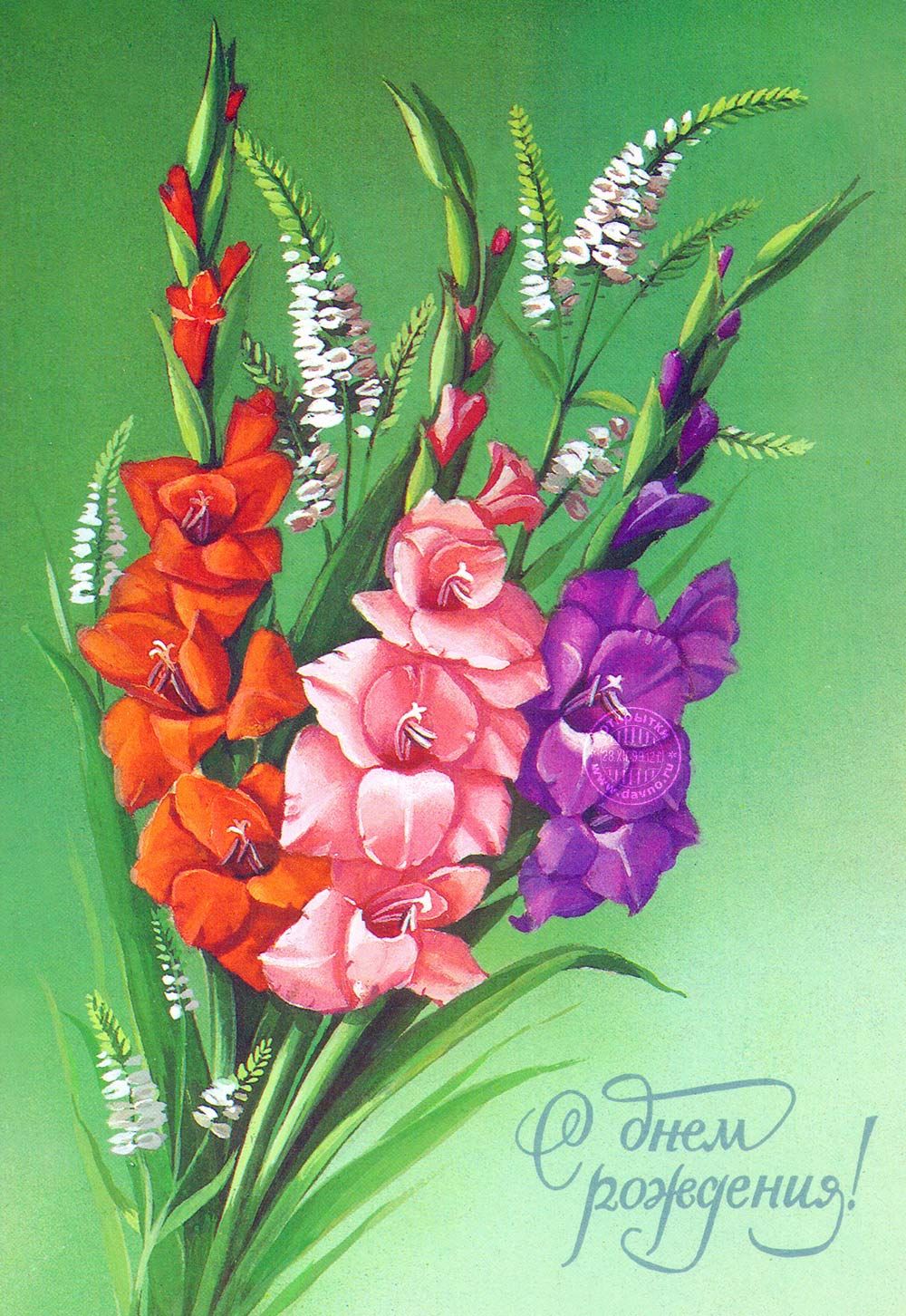 Открытки с гладиолусами. Картинка с гладиолусами. С днём рождения картинка гл...