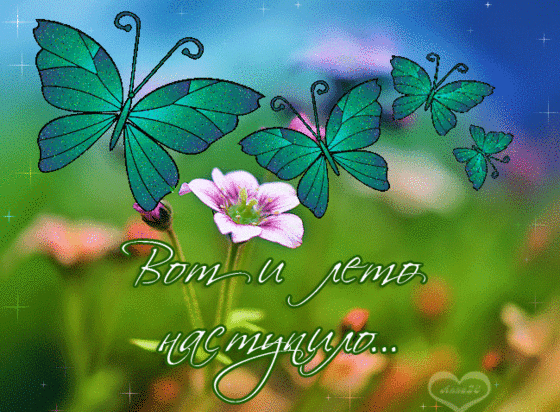 Смешные картинки Скоро лето. Хочу на море смешные картинки. 