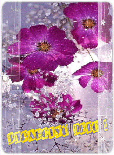 Открыл к бабочка машет крыльями, я мерцающая открытка с космеями и бабочкой.