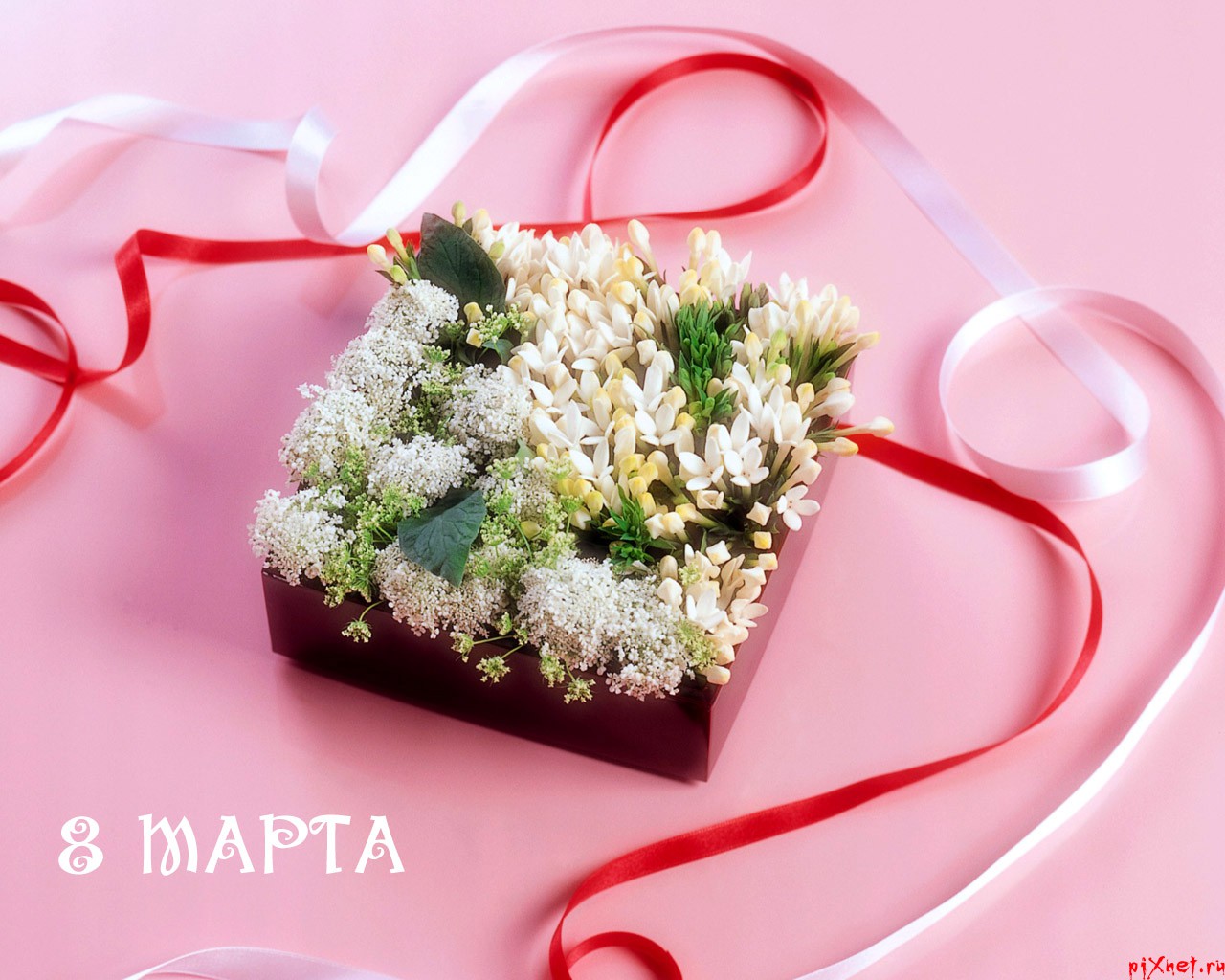 8 марта. Открытки с нарисованными тюльпанами и веточками мимозы. Открытки со ...