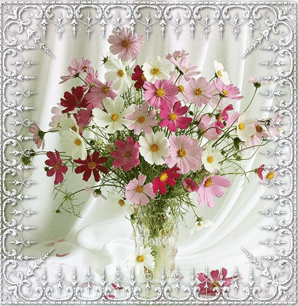 Картинка космеи. Открытка букет с космеями и другими цветами с бабочками стои...