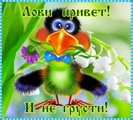 Открытки с розами не грусти. Открытка Не грусти. Открытки Не грусти подруга.
