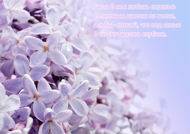 Открытка Доброе утро gif-анимация с бабочками и птицей сидящими на кусту сире...