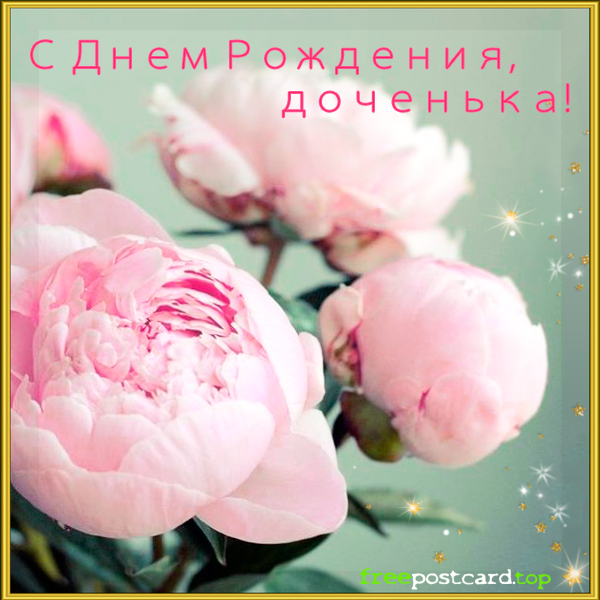 Открытки с 8 марта и открытки с добрым утром с пионами. Открытки С днём рожде...